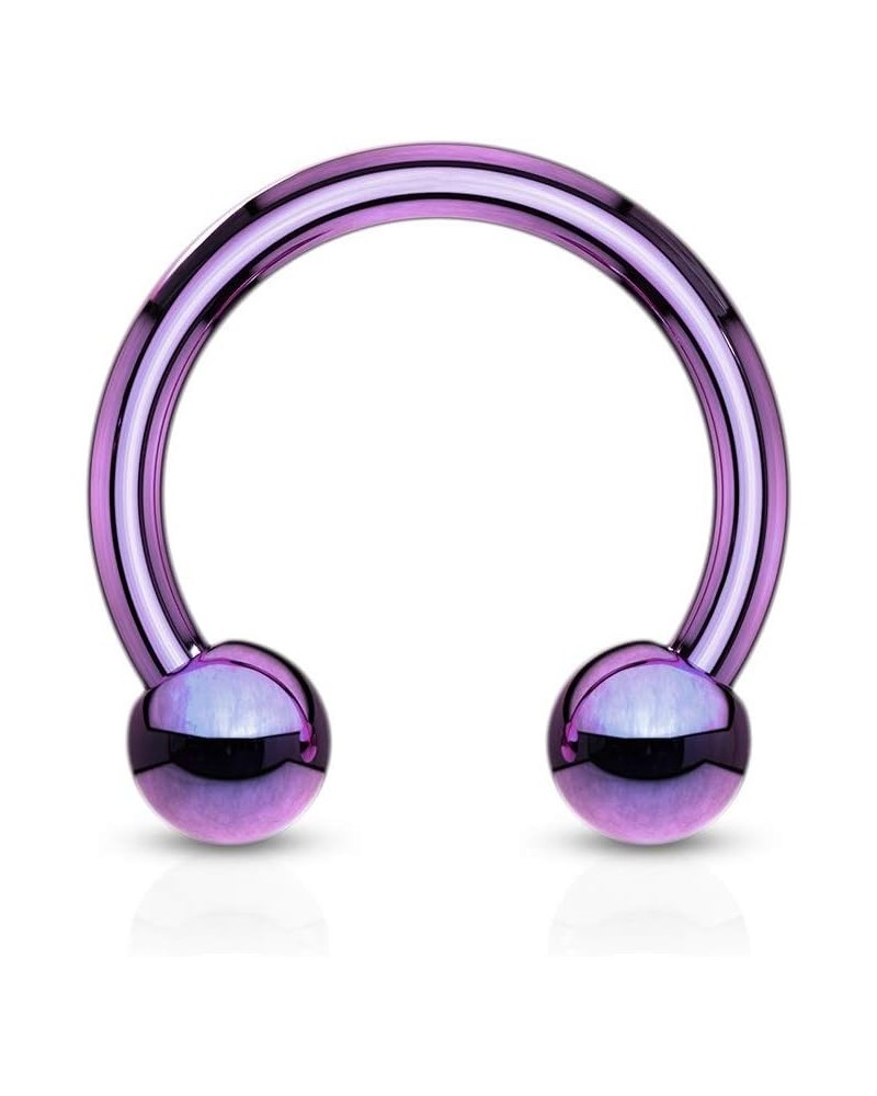 (2 Pieces 16g (1.2mm) Horseshoe Circular Barbell Titanium Anodized Over Surgical Steel (316L) 10mm Diameter, 4mm Balls purple...