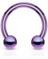 (2 Pieces 16g (1.2mm) Horseshoe Circular Barbell Titanium Anodized Over Surgical Steel (316L) 10mm Diameter, 4mm Balls purple...